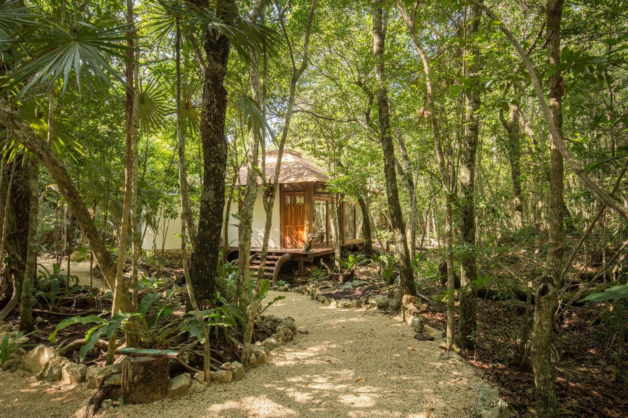 Villa Pepem Holistic Experience - Peaceful Retreat Near Tulum (Adults Only) Exterior foto